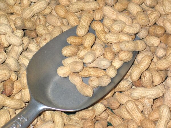 peanuts, christmas, nuts